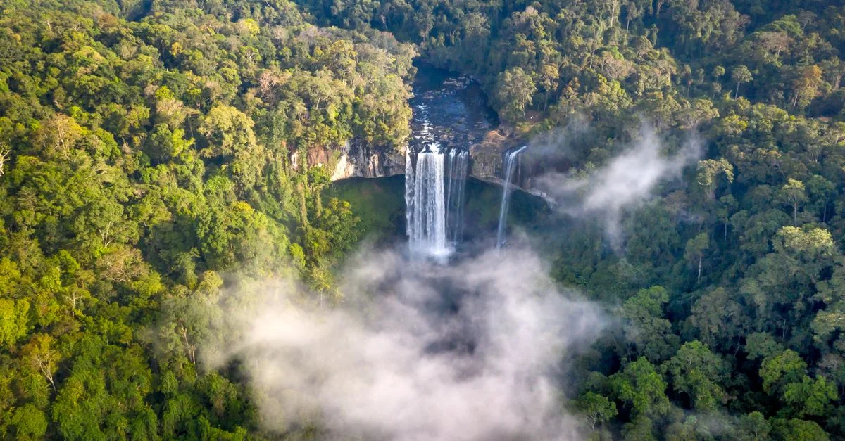 Une prise de vue aérienne à couper le souffle capturant une chute d'eau au milieu d'une forêt dense et brumeuse.
